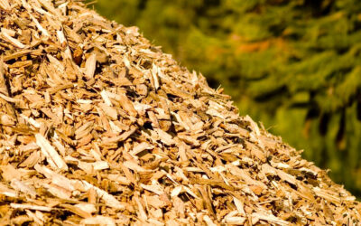 Substituição do gás natural por biomassa: por que é uma boa possibilidade?