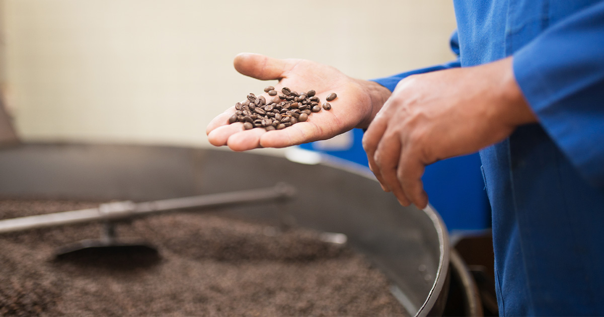 Como funciona o processo de torrefação do café?