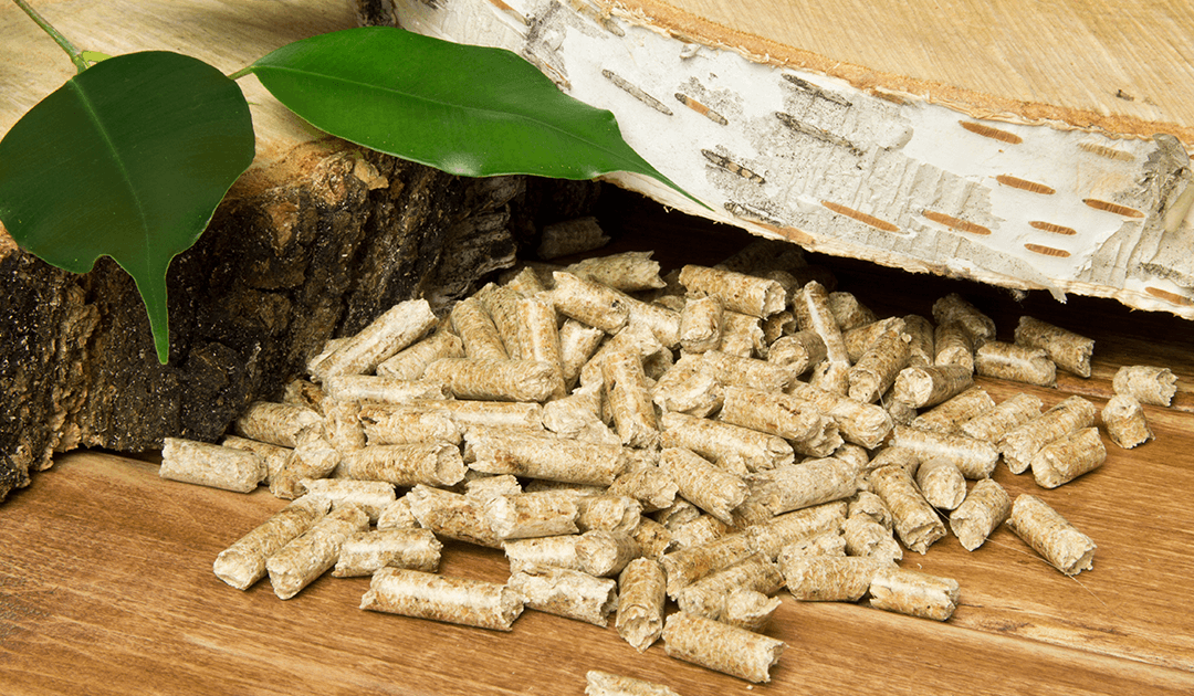 Confira 6 curiosidades sobre a biomassa que você deve conhecer