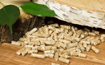 Confira 6 curiosidades sobre a biomassa que você deve conhecer