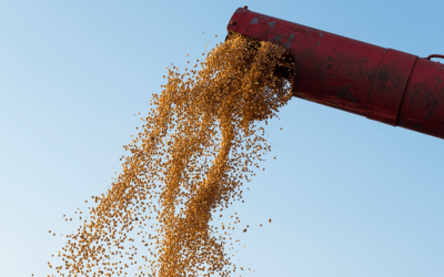 Principais parâmetros que influenciam no processo de secagem de grãos
