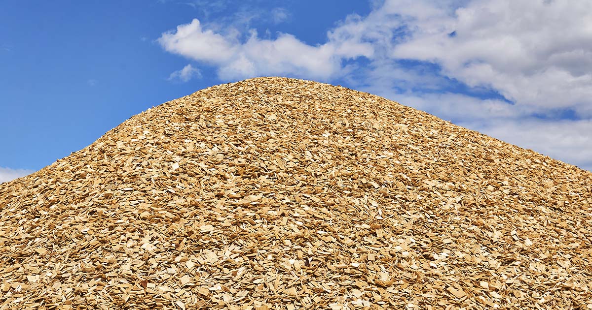 Biomassa na geração de energia