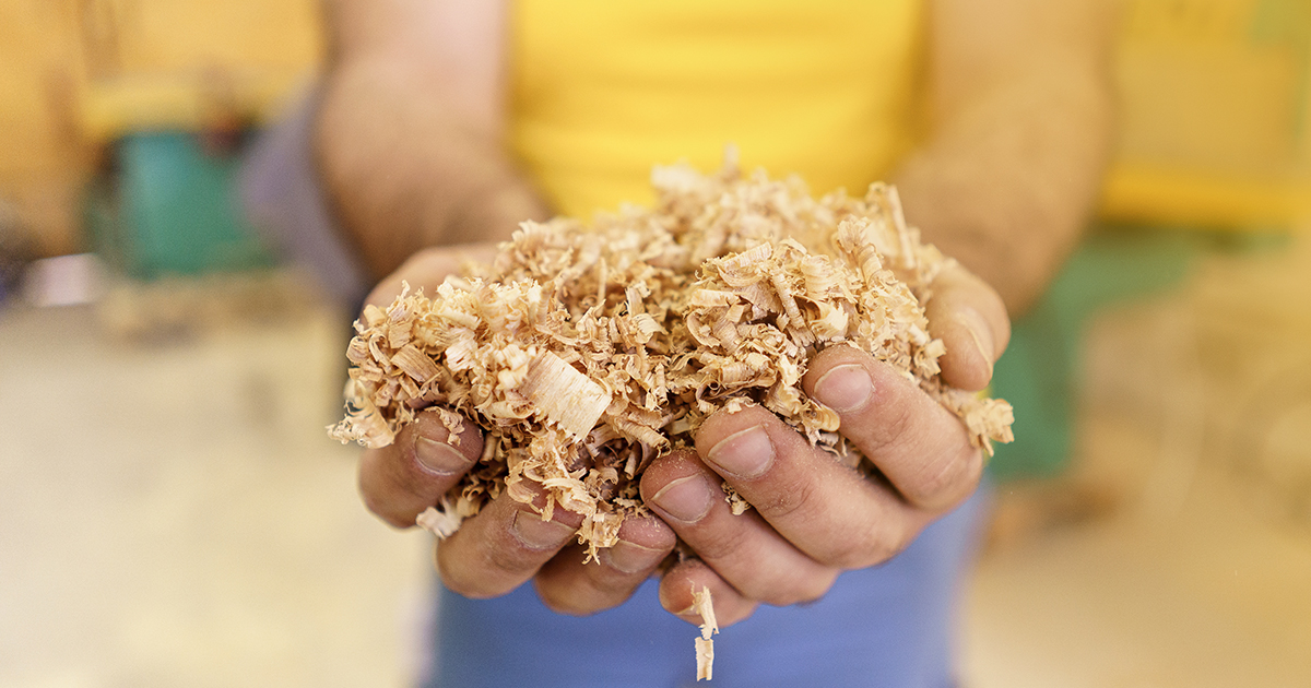 Saiba como fazer a substituição de gás natural por biomassa!