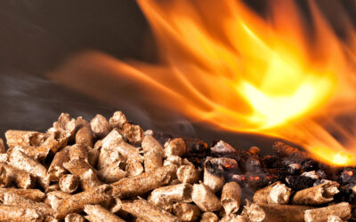 Poder calorífico: a importância para caldeiras a biomassa