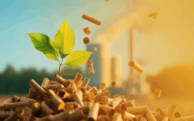 Saiba quais as principais etapas para uma transição segura do gás natural para biomassa